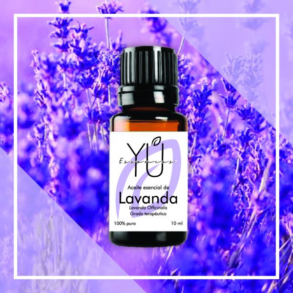 Esencia de Lavanda